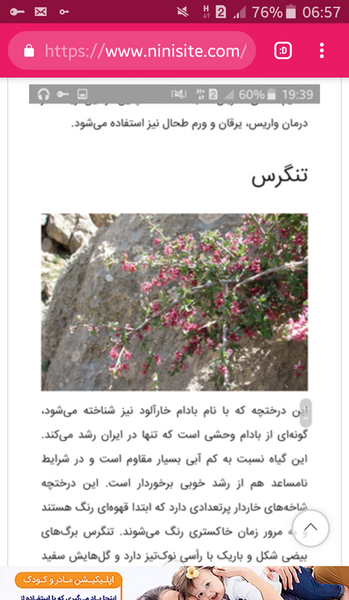 عکس سنگ کلیه 4 میلیمتری نی نی سایت
