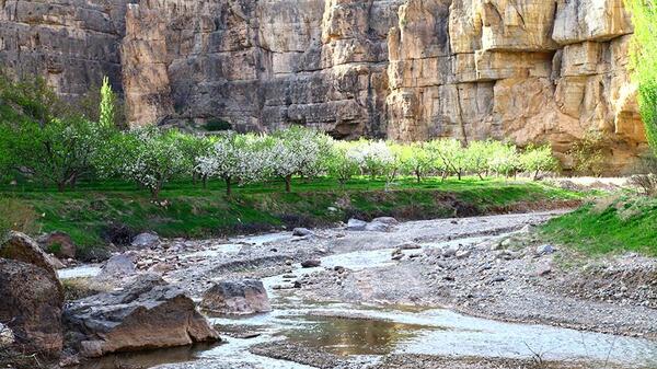 عکس غول های سنگی