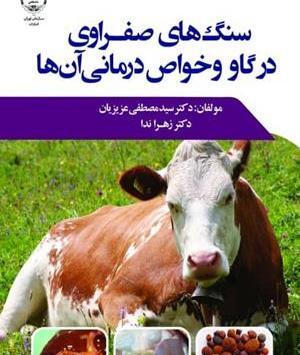 عکس سنگ صفرای گاو