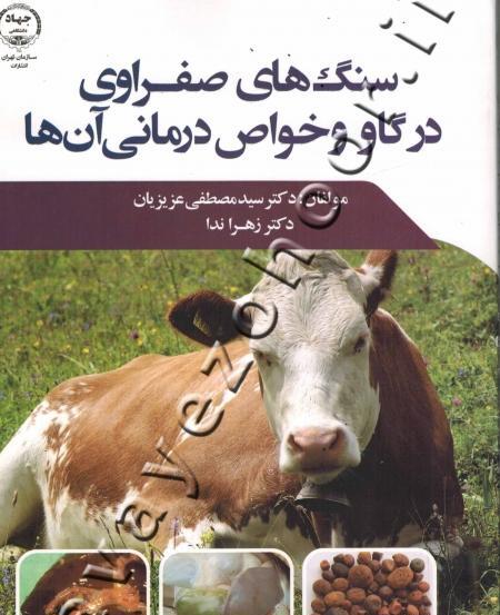 عکس سنگ صفرای گاو