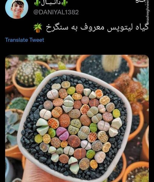 عکس سنگ های خوشگل