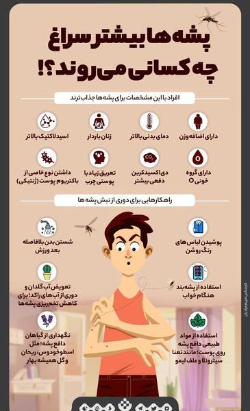 عکس نیش پشه معمولی