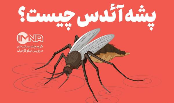 عکس نیش پشه آئدس