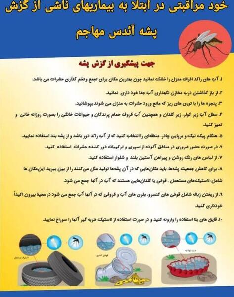 عکس نیش پشه آئدس