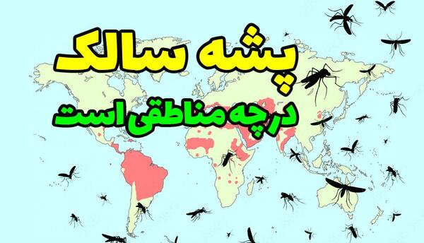 عکس های پشه سالک