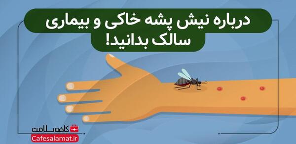عکس های پشه سالک