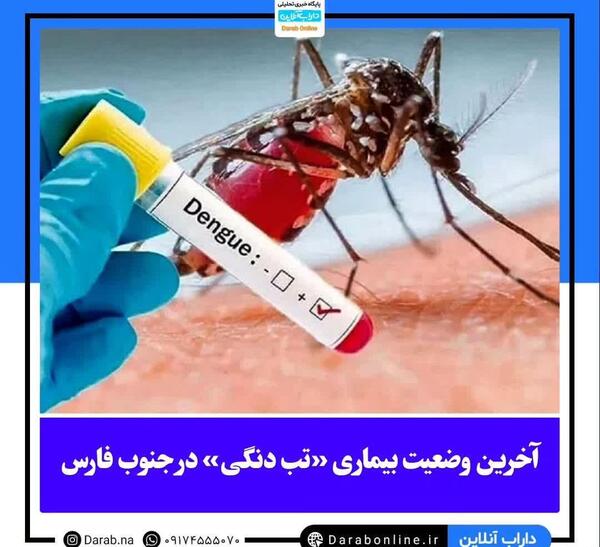 عکس های پشه دنگی