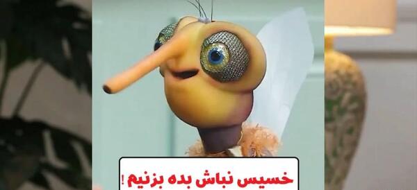عکس های پشه مهمونی