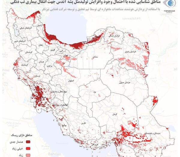 عکس پشه های کشنده
