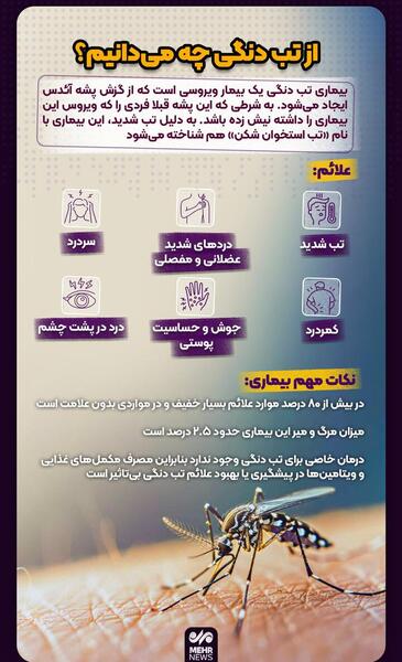 عکس واقعی پشه دنگی