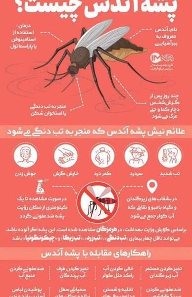 عکس نیش پشه آئدس نی نی سایت