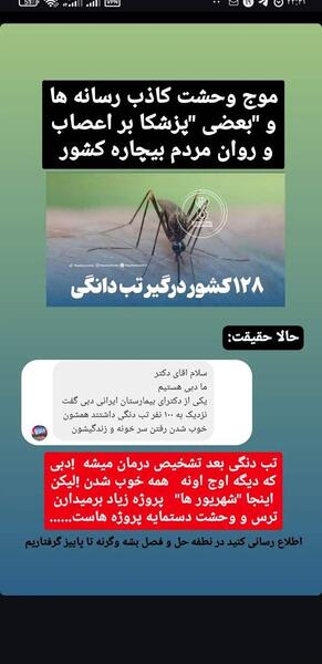 عکس نیش پشه آئدس نی نی سایت