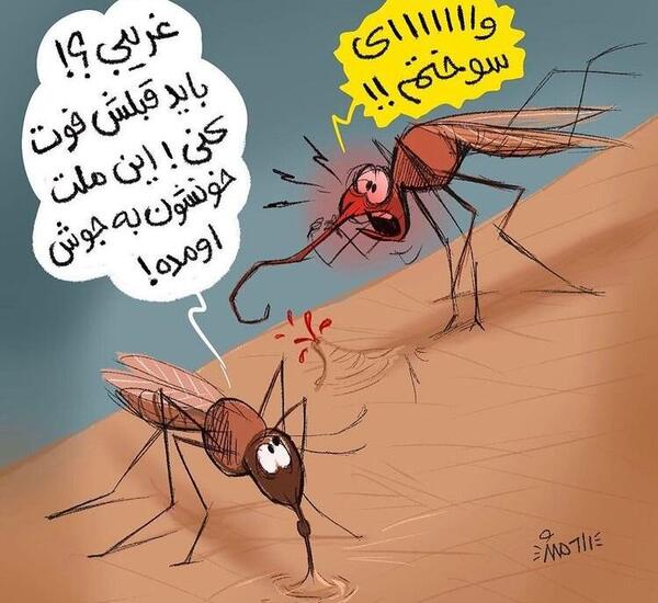 عکس نیش پشه ها