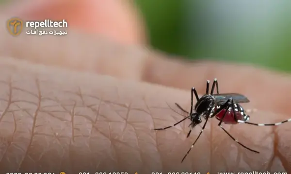 عکس نیش پشه آئدس روی بدن
