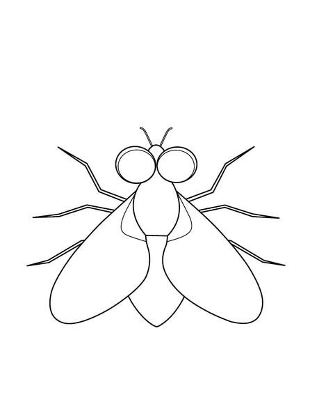 عکس پشه برای نقاشی
