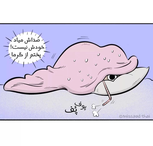 عکس پشه برای نقاشی