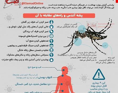 عکس گزش پشه آئدس
