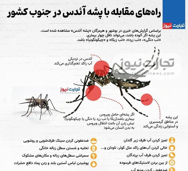 عکس نیش زدن پشه آئدس