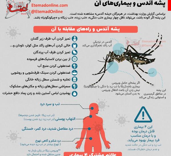 عکس نیش زدن پشه آئدس