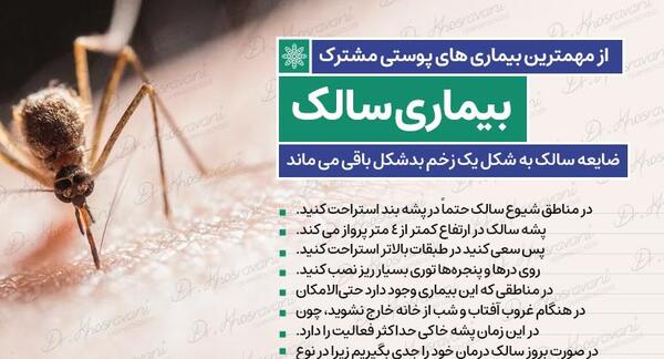 عکس نیش زدن پشه سالک