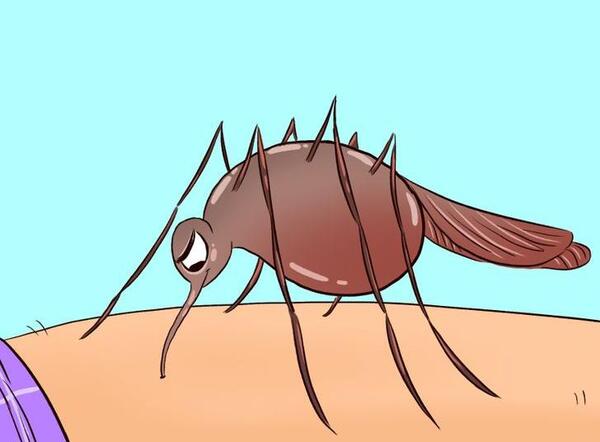 عکس نیش پشه سمی