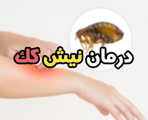عکس جای نیش زدن پشه
