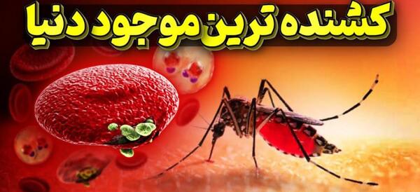 عکس جای نیش پشه سگی