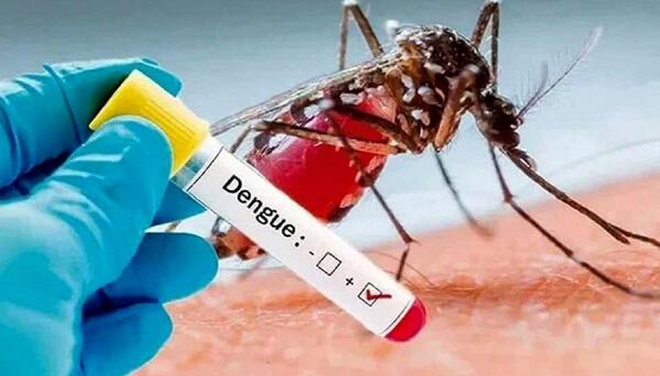 عکس پشه زدگی آئدس