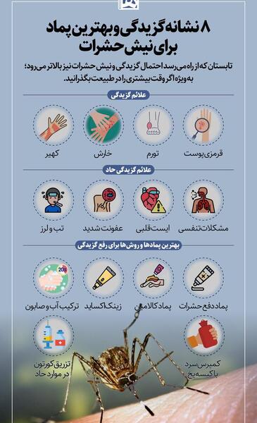 عکس نیش زدگی پشه