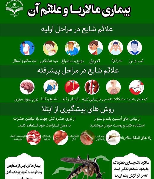 عکس از پشه مالاریا