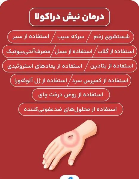 عکس نیش پشه دراکولا
