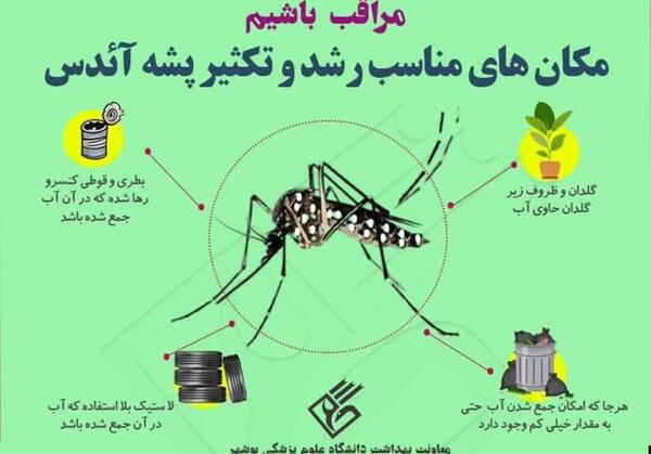 عکس پشه ی خطرناک