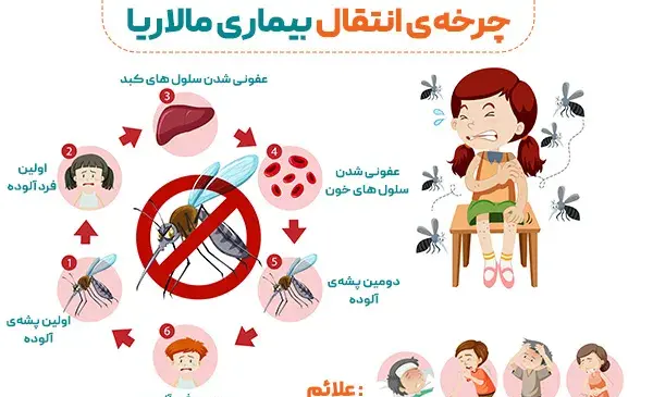 عکس های پشه مالاریا