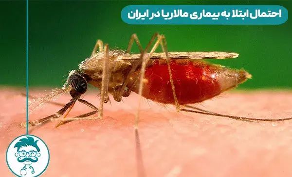 عکس جای نیش پشه مالاریا