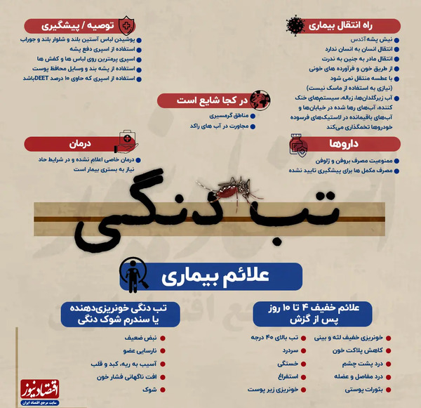 عکس پشه آئدس در ایران