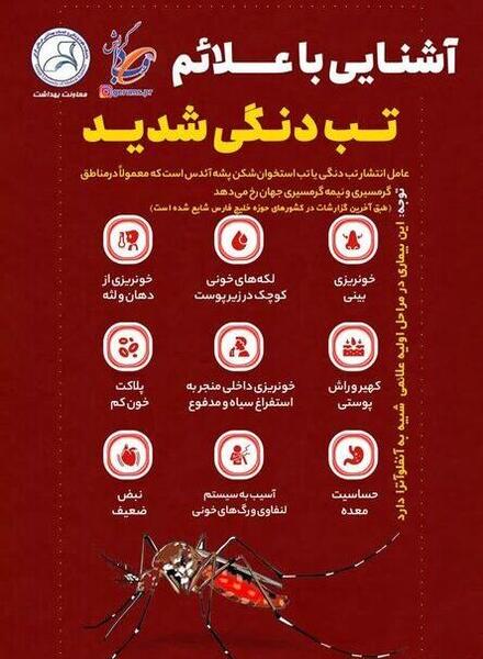 عکس پشه آئدس در ایران