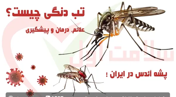 عکس پشه آئدس در ایران