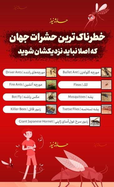 عکس خطرناک ترین پشه دنیا