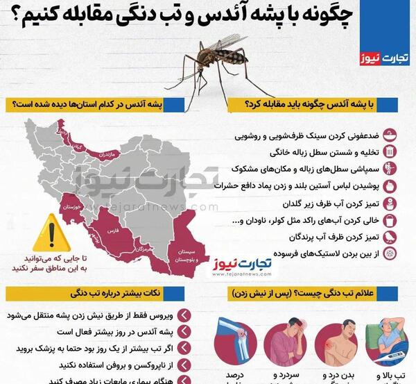 عکس پشه آئدس تب دنگی