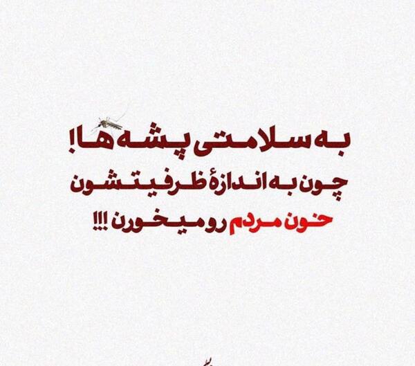 عکس پروفایل پشه