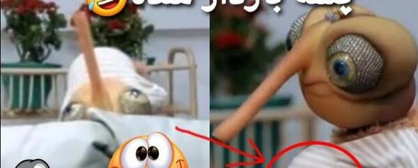 عکس پروفایل پشه مهمونی