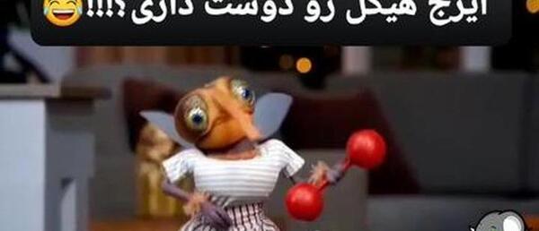 عکس پشه برای پروفایل