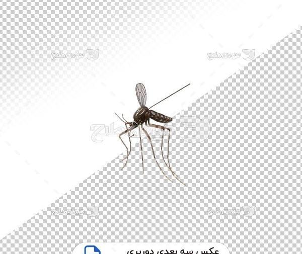 عکس پشه برای پروفایل