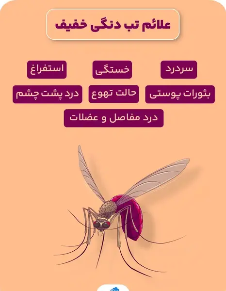 عکس پشه ای که باعث تب دنگی میشه