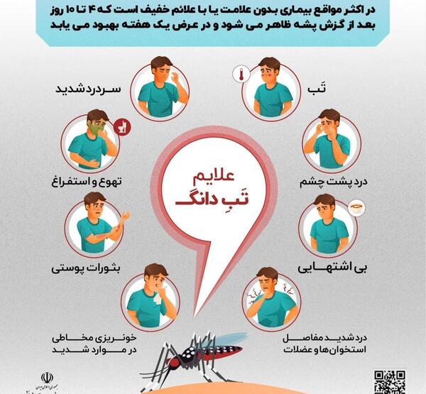 عکس پشه دنگی در ایران