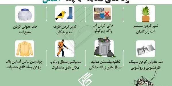 عکس پشه که وارد ایران شده