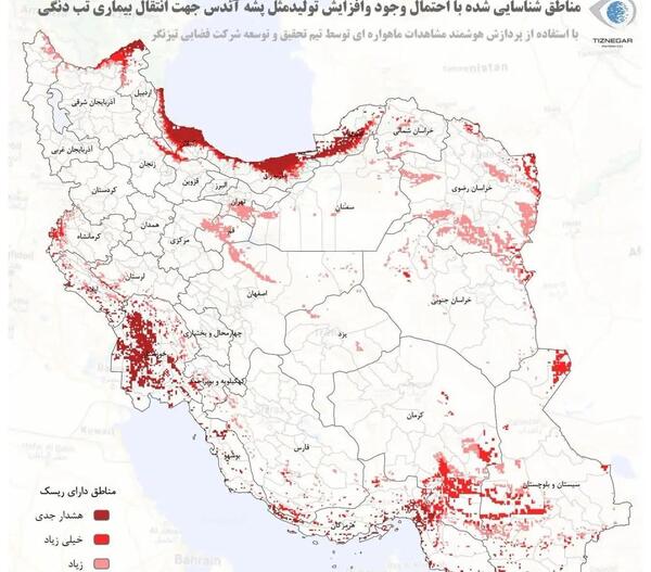 عکس پشه آئدس کوچک