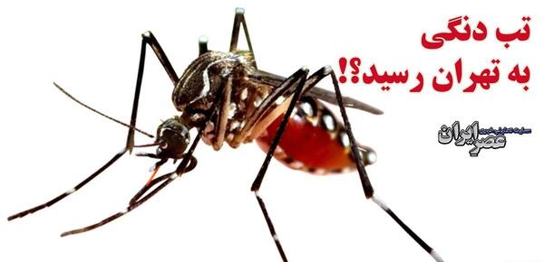 عکس پشه کشتن