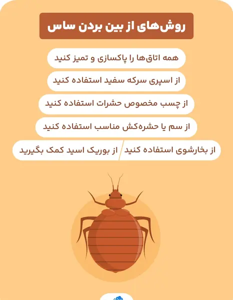 عکس نیش پشه ساس