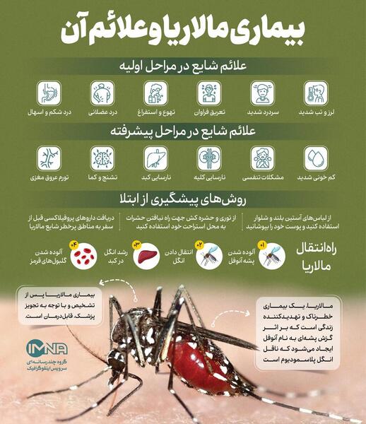عکس نیش زدن پشه مالاریا